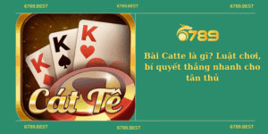 Bài Catte là gì? Luật chơi, bí quyết thắng nhanh cho tân thủ