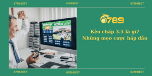 Kèo chấp 3.5 là gì? Những mẹo cược hấp dẫn không thể bỏ qua