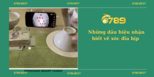 Những dấu hiệu nhận biết về xóc đĩa bịp mà bạn nên biết