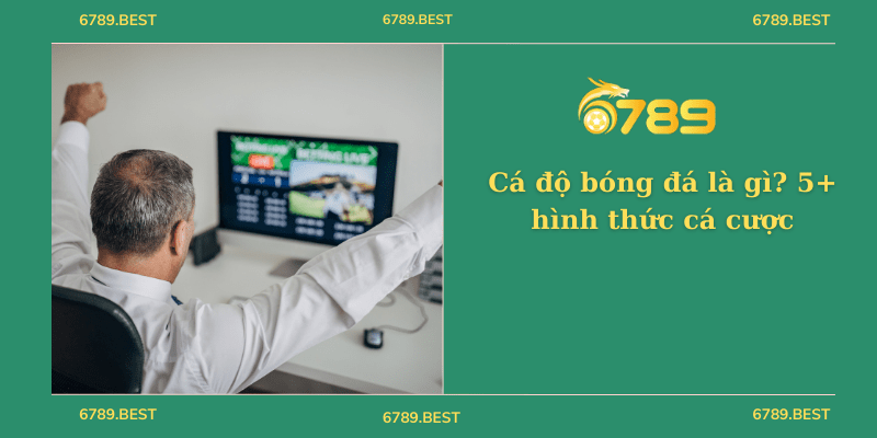 Cá độ bóng đá là gì? 5+ hình thức cá cược trong cá độ bóng đá